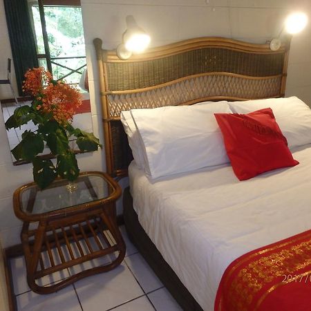 Daintree Deep Forest Lodge Cape Tribulation Bagian luar foto