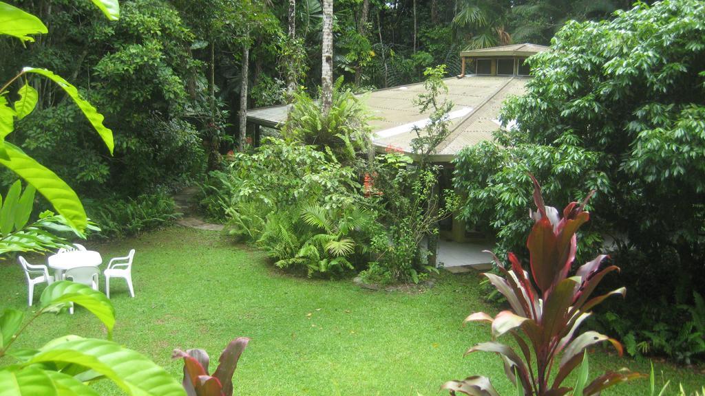 Daintree Deep Forest Lodge Cape Tribulation Bagian luar foto