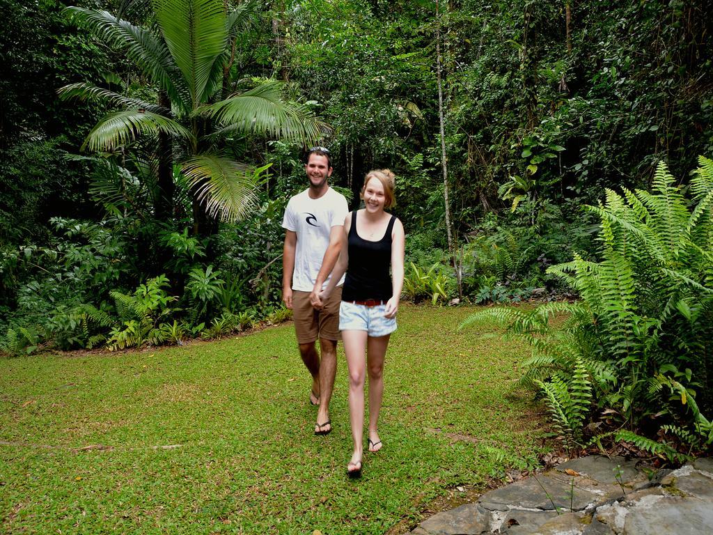 Daintree Deep Forest Lodge Cape Tribulation Bagian luar foto