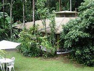 Daintree Deep Forest Lodge Cape Tribulation Bagian luar foto