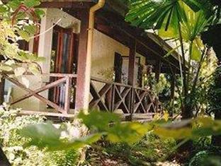 Daintree Deep Forest Lodge Cape Tribulation Bagian luar foto