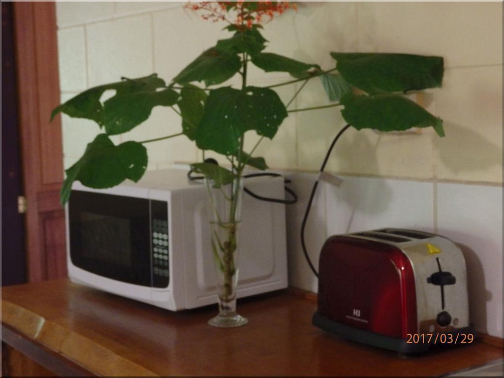 Daintree Deep Forest Lodge Cape Tribulation Bagian luar foto